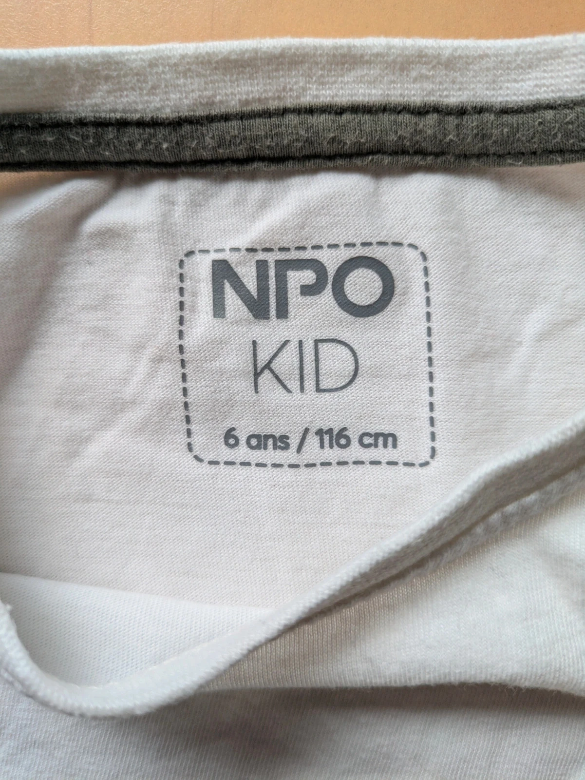 Camiseta dinossauro 6 anos NPO kid – photo 5